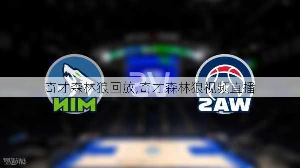 奇才森林狼回放,奇才森林狼视频直播