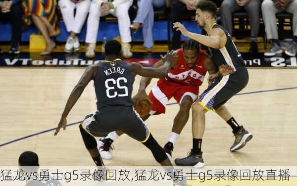 猛龙vs勇士g5录像回放,猛龙vs勇士g5录像回放直播