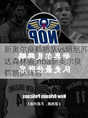新奥尔良鹈鹕队vs明尼苏达森林狼,nba新奥尔良鹈鹕队阵容
