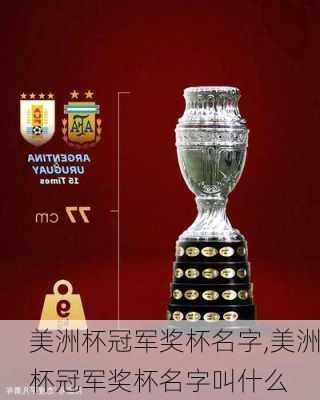 美洲杯冠军奖杯名字,美洲杯冠军奖杯名字叫什么