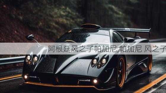 阿根廷风之子帕加尼,帕加尼 风之子
