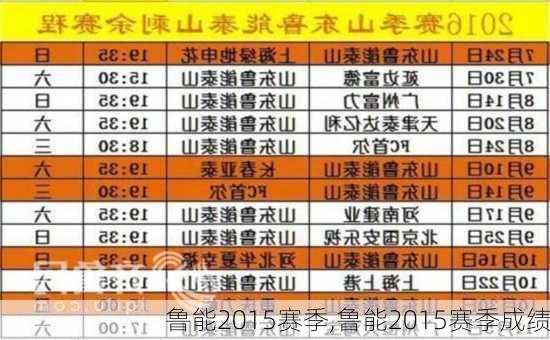 鲁能2015赛季,鲁能2015赛季成绩