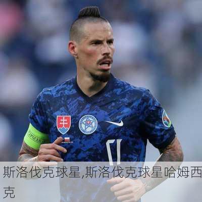 斯洛伐克球星,斯洛伐克球星哈姆西克