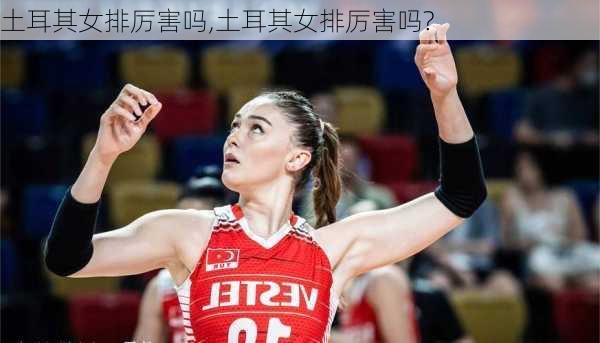 土耳其女排厉害吗,土耳其女排厉害吗?