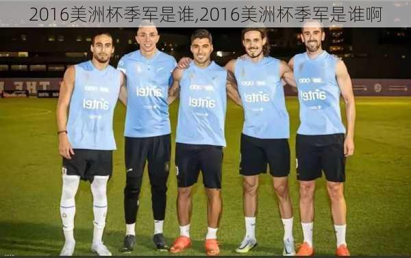 2016美洲杯季军是谁,2016美洲杯季军是谁啊