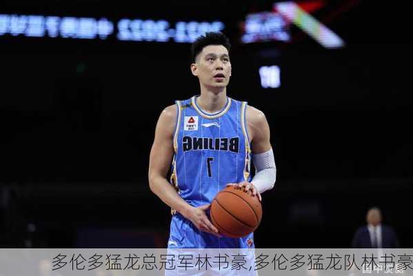 多伦多猛龙总冠军林书豪,多伦多猛龙队林书豪