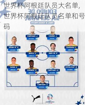 世界杯阿根廷队员大名单,世界杯阿根廷队员名单和号码
