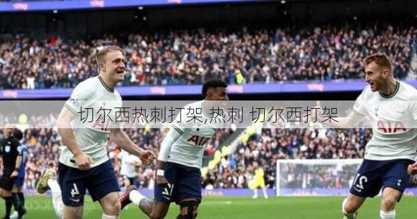 切尔西热刺打架,热刺 切尔西打架