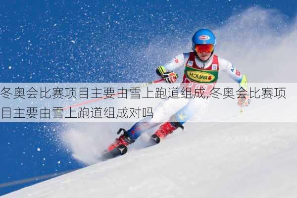 冬奥会比赛项目主要由雪上跑道组成,冬奥会比赛项目主要由雪上跑道组成对吗