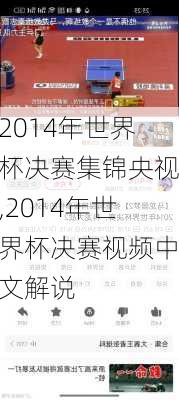 2014年世界杯决赛集锦央视,2014年世界杯决赛视频中文解说