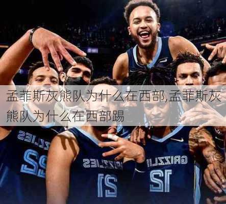 孟菲斯灰熊队为什么在西部,孟菲斯灰熊队为什么在西部踢