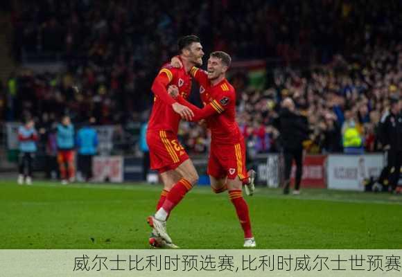 威尔士比利时预选赛,比利时威尔士世预赛