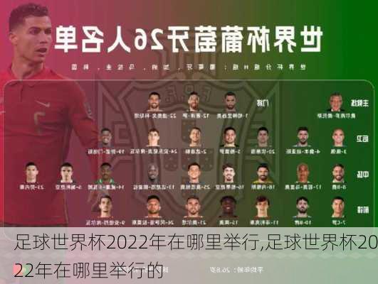 足球世界杯2022年在哪里举行,足球世界杯2022年在哪里举行的