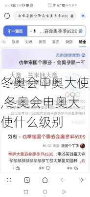冬奥会申奥大使,冬奥会申奥大使什么级别