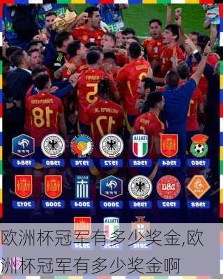 欧洲杯冠军有多少奖金,欧洲杯冠军有多少奖金啊