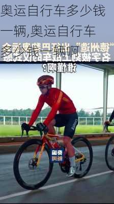 奥运自行车多少钱一辆,奥运自行车多少钱一辆啊