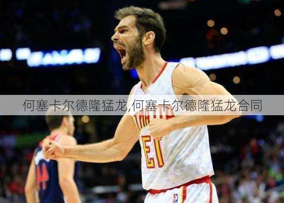 何塞卡尔德隆猛龙,何塞卡尔德隆猛龙合同