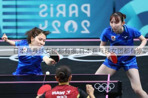 日本乒乓球女团都有谁,日本乒乓球女团都有谁啊