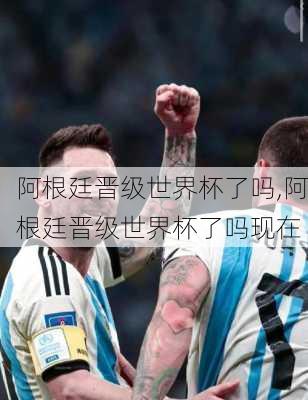 阿根廷晋级世界杯了吗,阿根廷晋级世界杯了吗现在