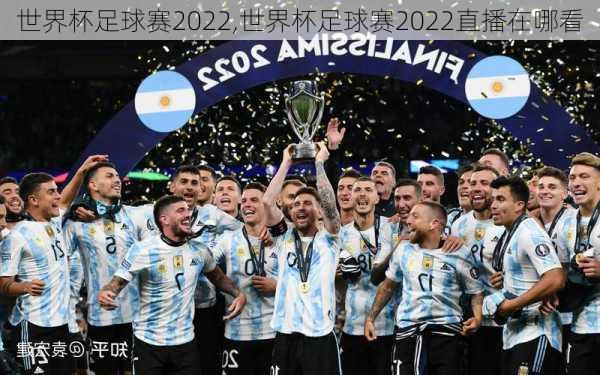 世界杯足球赛2022,世界杯足球赛2022直播在哪看