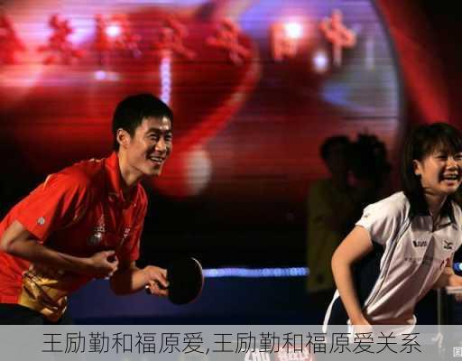 王励勤和福原爱,王励勤和福原爱关系