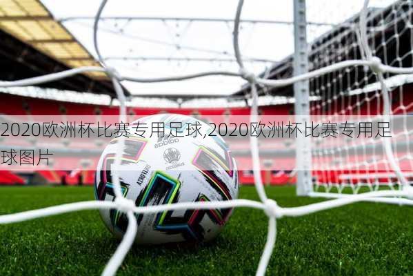 2020欧洲杯比赛专用足球,2020欧洲杯比赛专用足球图片