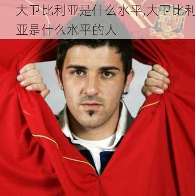 大卫比利亚是什么水平,大卫比利亚是什么水平的人
