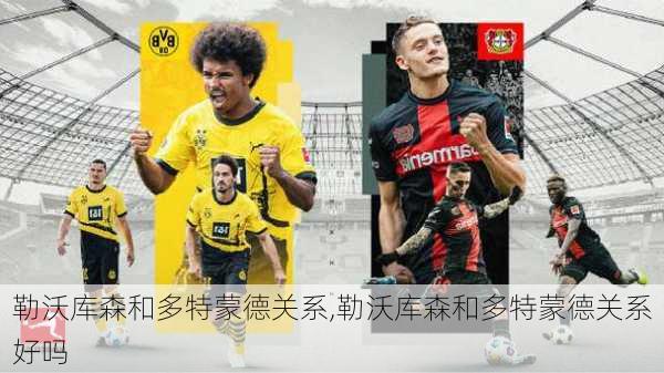 勒沃库森和多特蒙德关系,勒沃库森和多特蒙德关系好吗