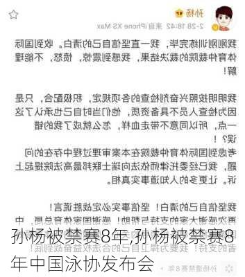 孙杨被禁赛8年,孙杨被禁赛8年中国泳协发布会