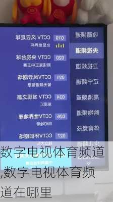 数字电视体育频道,数字电视体育频道在哪里