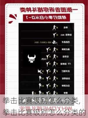 拳击比赛级别怎么分类,拳击比赛级别怎么分类的