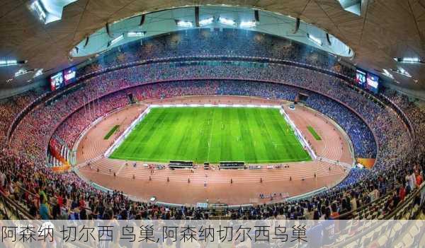 阿森纳 切尔西 鸟巢,阿森纳切尔西鸟巢