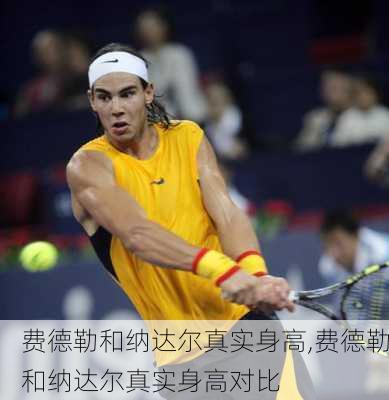 费德勒和纳达尔真实身高,费德勒和纳达尔真实身高对比