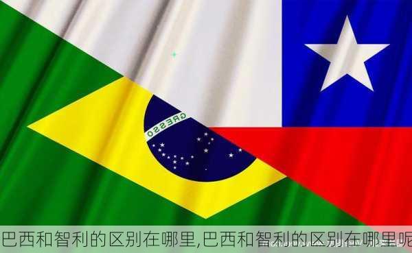 巴西和智利的区别在哪里,巴西和智利的区别在哪里呢