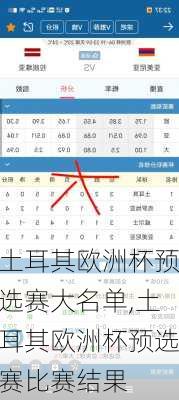 土耳其欧洲杯预选赛大名单,土耳其欧洲杯预选赛比赛结果