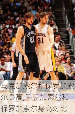 马克加索尔和保罗加索尔身高,马克加索尔和保罗加索尔身高对比