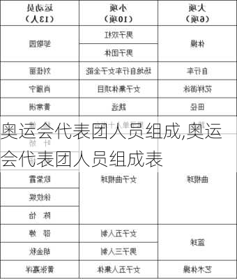 奥运会代表团人员组成,奥运会代表团人员组成表