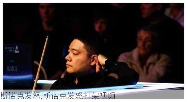 斯诺克发怒,斯诺克发怒打架视频