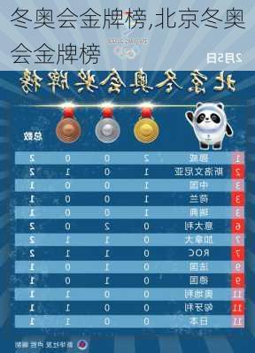 冬奥会金牌榜,北京冬奥会金牌榜
