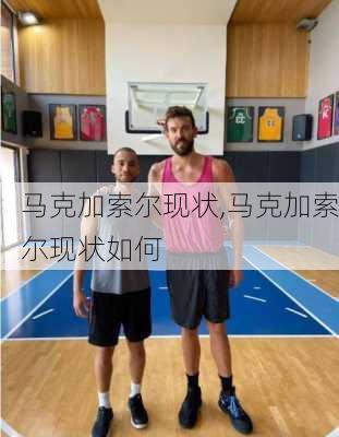马克加索尔现状,马克加索尔现状如何