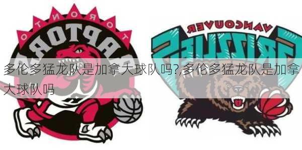 多伦多猛龙队是加拿大球队吗?,多伦多猛龙队是加拿大球队吗