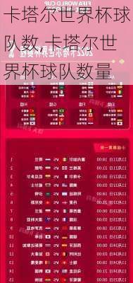 卡塔尔世界杯球队数,卡塔尔世界杯球队数量