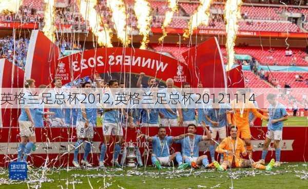 英格兰足总杯2012,英格兰足总杯20121114