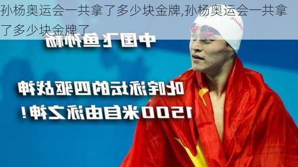 孙杨奥运会一共拿了多少块金牌,孙杨奥运会一共拿了多少块金牌了