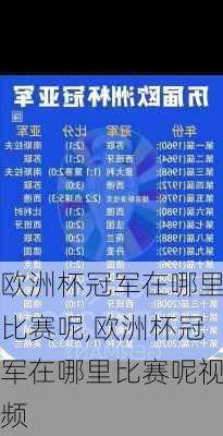 欧洲杯冠军在哪里比赛呢,欧洲杯冠军在哪里比赛呢视频