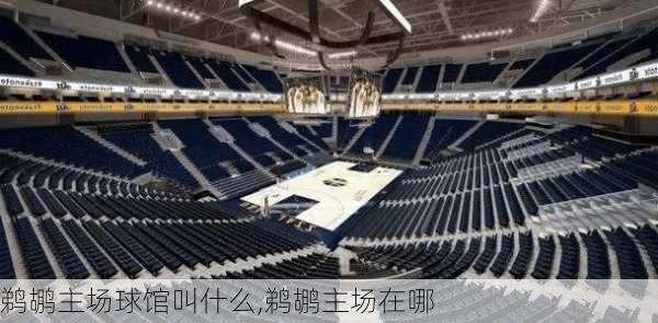 鹈鹕主场球馆叫什么,鹈鹕主场在哪