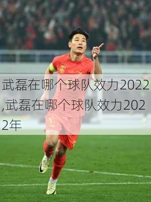 武磊在哪个球队效力2022,武磊在哪个球队效力2022年