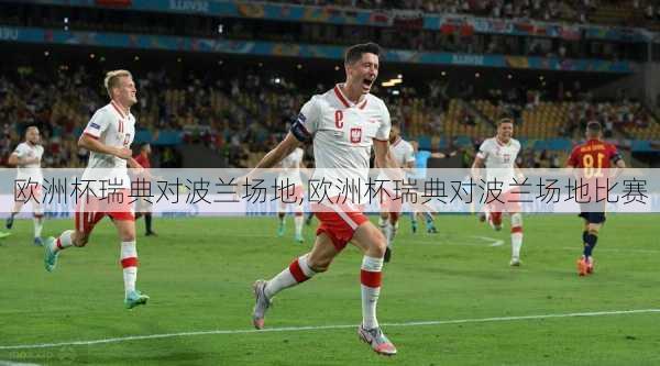 欧洲杯瑞典对波兰场地,欧洲杯瑞典对波兰场地比赛
