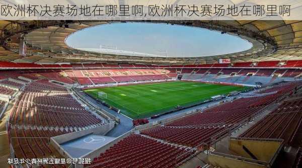 欧洲杯决赛场地在哪里啊,欧洲杯决赛场地在哪里啊