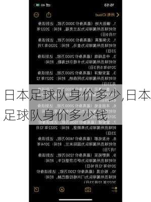 日本足球队身价多少,日本足球队身价多少钱